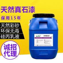 高山滑雪图片